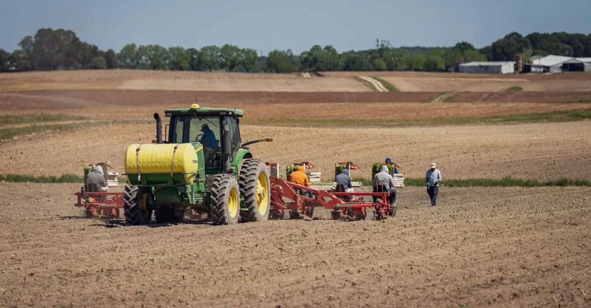 Les Meilleures Techniques de Semis avec un Semoir Agricole