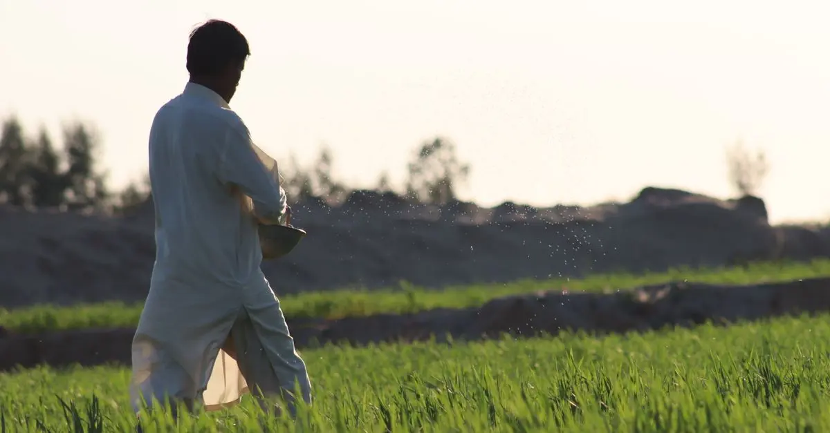 Comment Effectuer l'Entretien de Votre Semoir Agricole