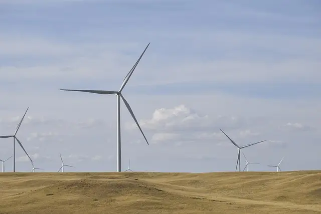 Les Avantages de l'Utilisation d'un Semoir Écologique
