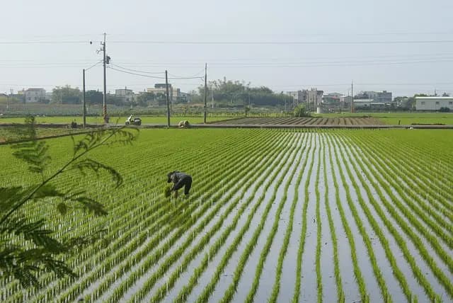 Comment Bien Régler Votre Semoir Agricole pour un Semis Réussi
