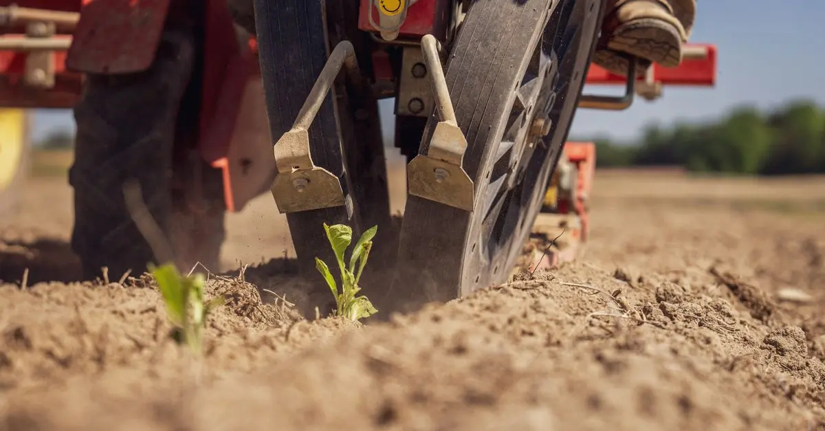 Guide Pratique : Calibration de Votre Semoir Agricole