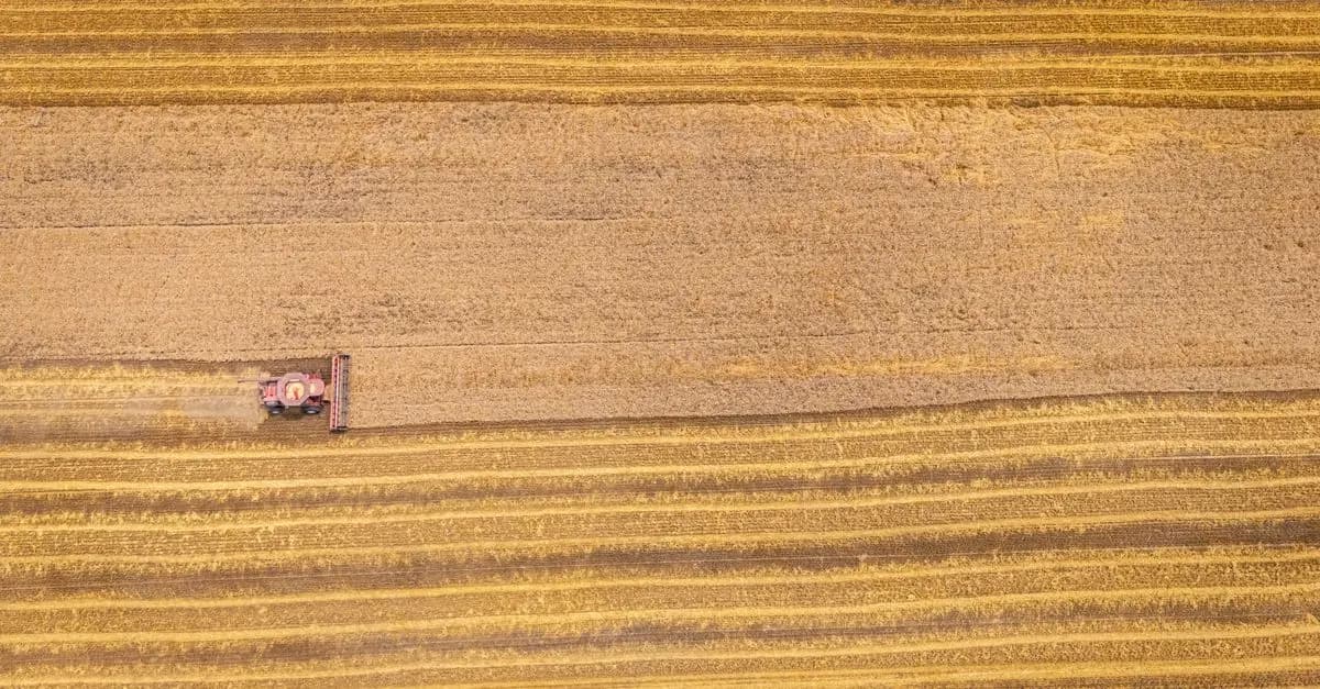 5 Erreurs à Éviter lors de l'Utilisation d'un Semoir Agricole