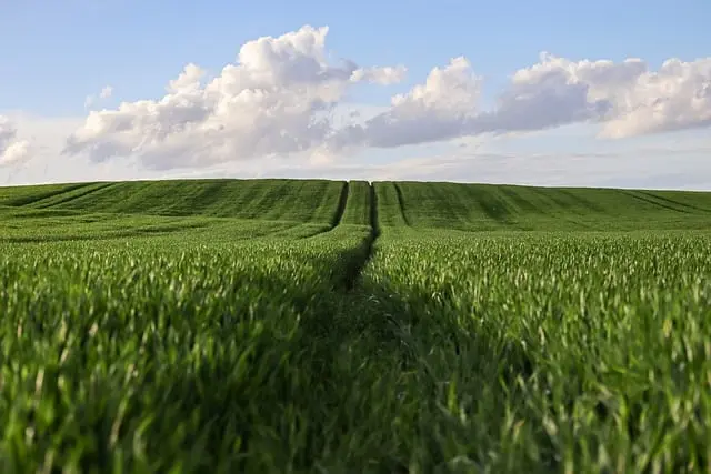 Comment Entretenir Votre Semoir Agricole pour une Performance Optimale