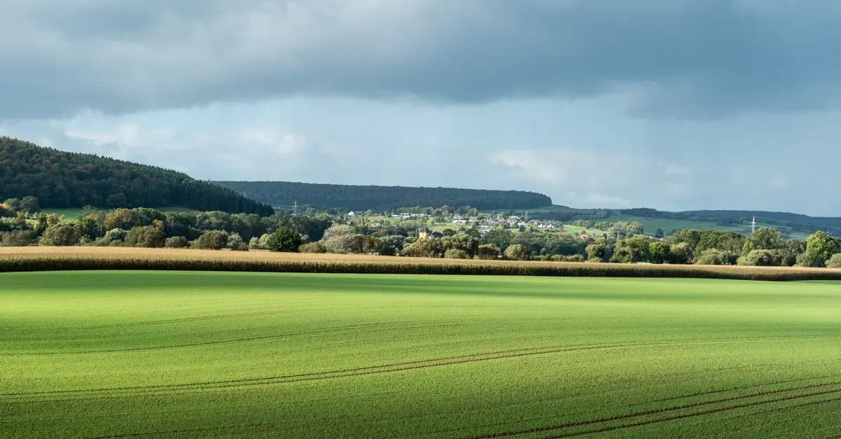 Les Semoirs Agricoles Multifonctions : Pourquoi l'Adopter ?