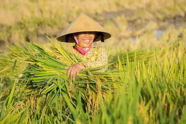 Les Meilleures Pratiques pour Réussir avec un Semoir Agricole