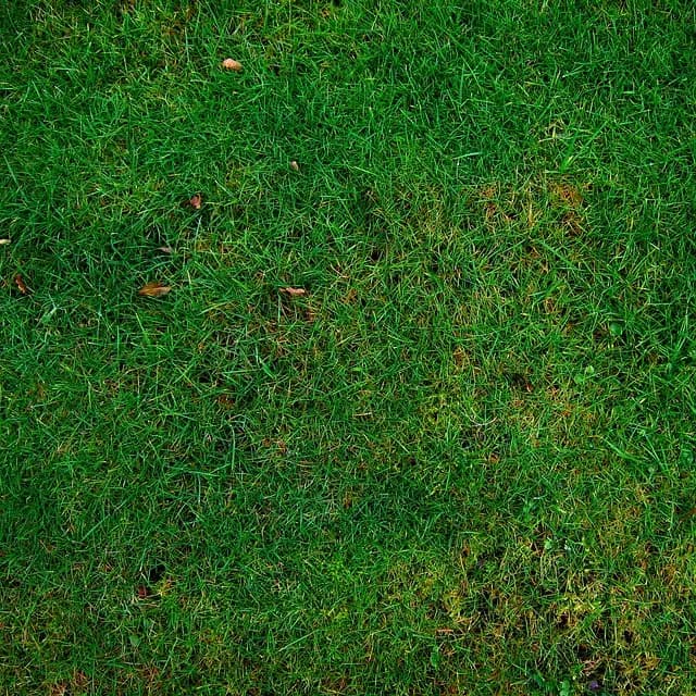 Guide Complet sur les Semoirs Écologiques : Avantages et Applications