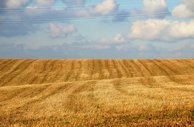 10 Astuces pour Améliorer l'Efficacité de Votre Semoir Agricole