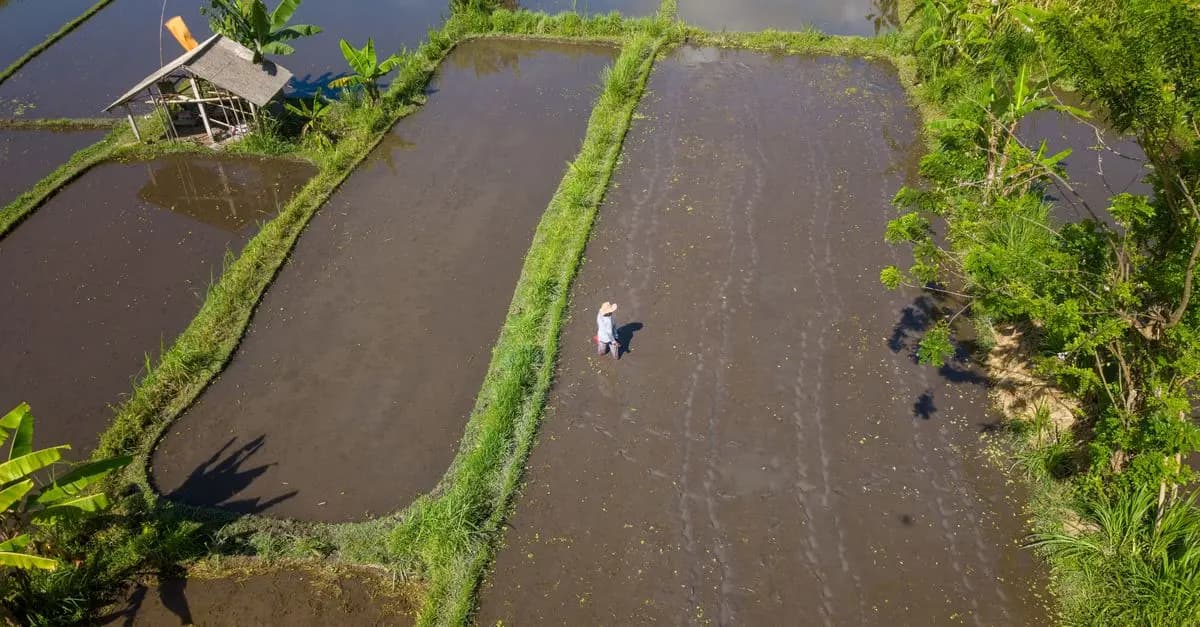 Les Avantages des Semoirs Écologiques pour Vos Cultures