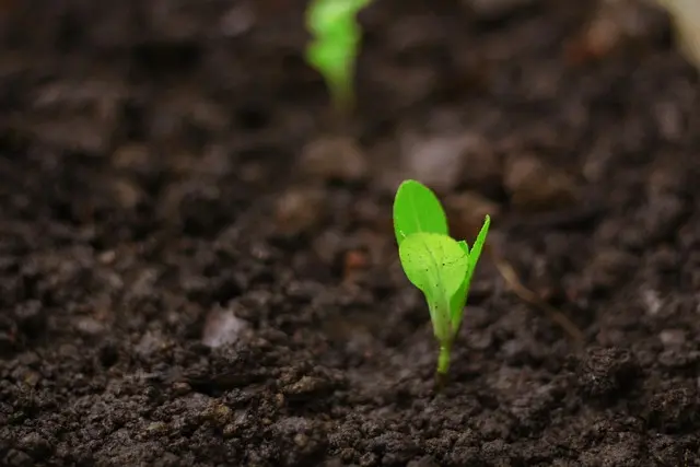 Comment Effectuer le Réglage Précis de Votre Semoir Agricole