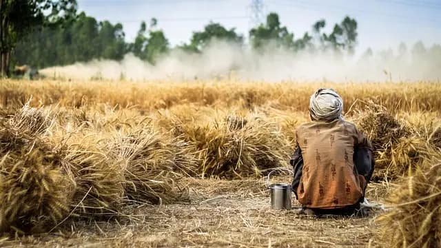 Comment Bien Choisir un Semoir Agricole pour Vos Cultures