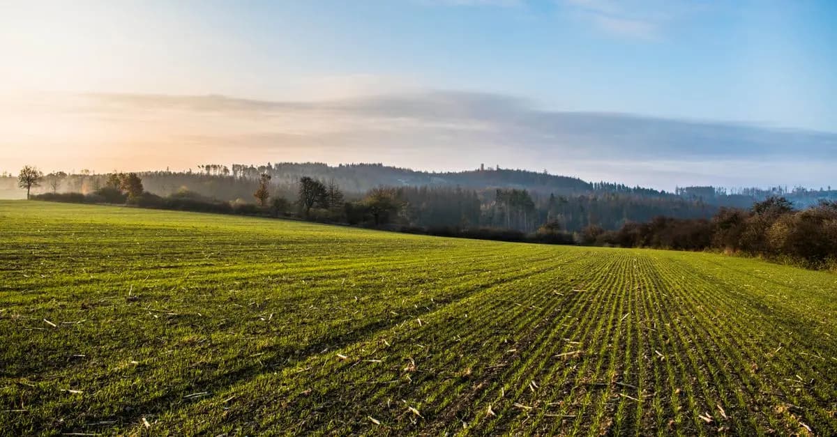 Guide Complet sur les Semoirs Agricoles de Précision