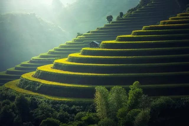 Les Semoirs Agricoles Écologiques : Avantages et Caractéristiques