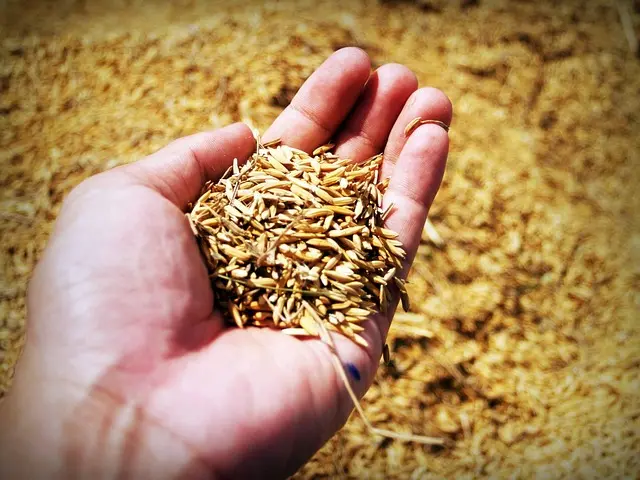 Guide Pratique : Comment Ajuster Votre Semoir Agricole