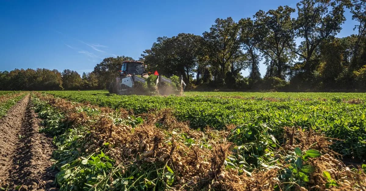 Les Meilleures Techniques de Semis avec un Semoir Agricole