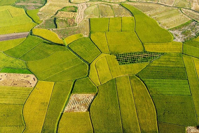 Les Avantages de l'Utilisation d'un Semoir Pneumatique