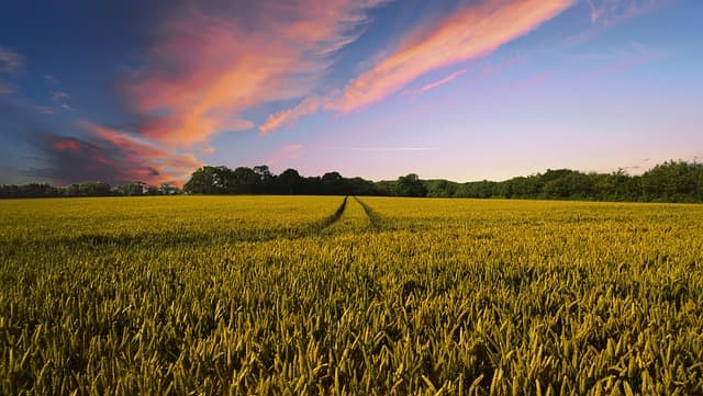 Comment Réussir le Semis avec un Semoir Agricole