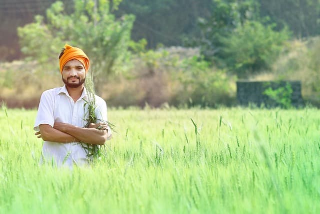 Comment Choisir le Semoir Agricole Idéal pour Votre Exploitation