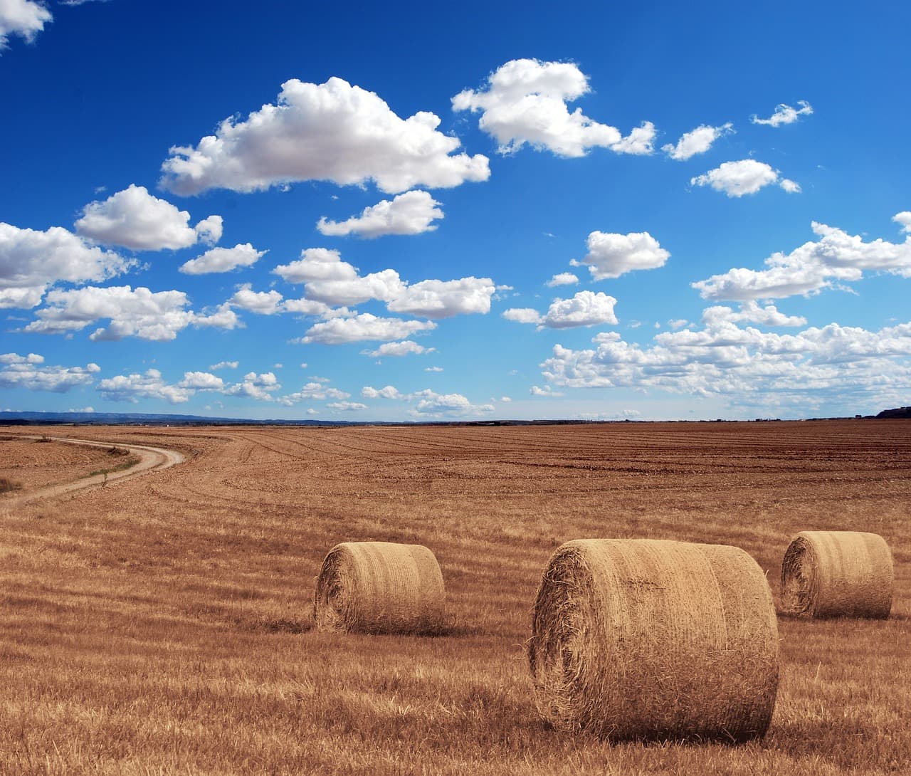 Comment Choisir le Bon Semoir Agricole pour Vos Cultures