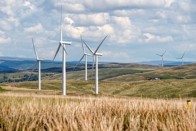 Les Avantages des Semoirs Écologiques pour une Agriculture Durable