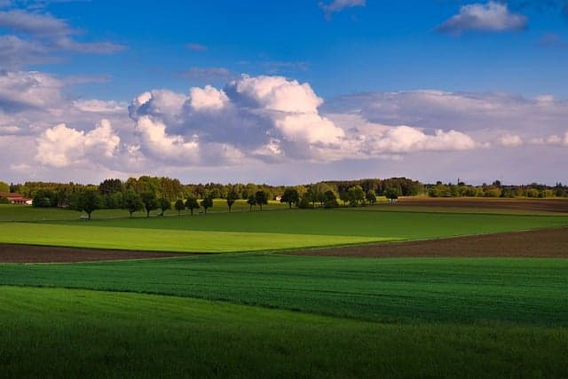 Comment Bien Régler Votre Semoir Agricole pour un Semis Parfait