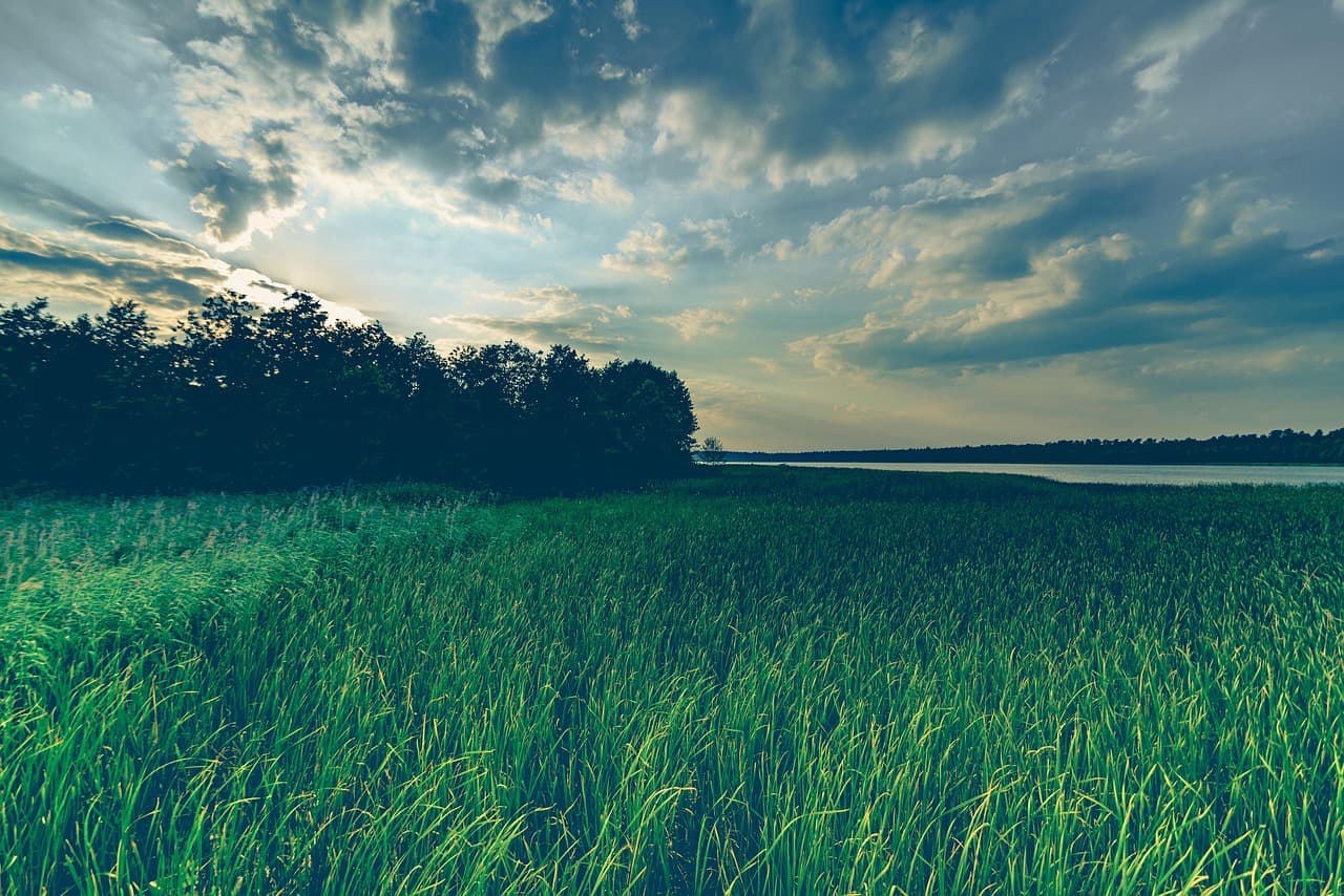 Les Innovations Écologiques dans le Semoir Agricole